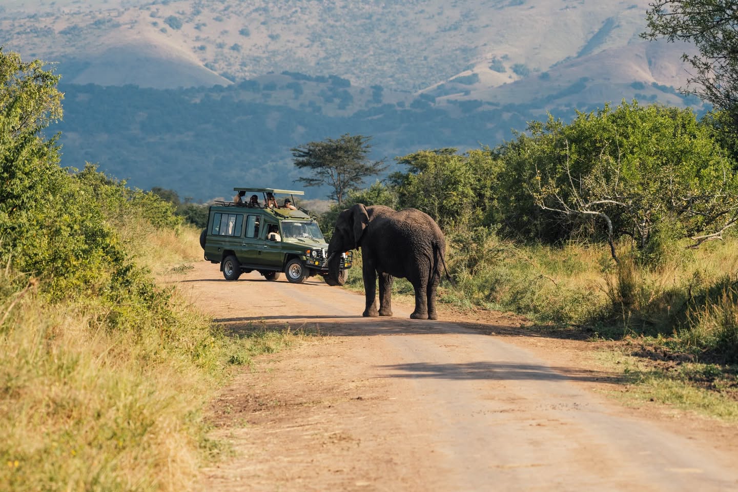 Double Circuit Safari Akagera